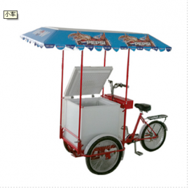 Tricycle congélateur solaire à trois roues (Alimentation grâce au pédalage) 268 Litres 