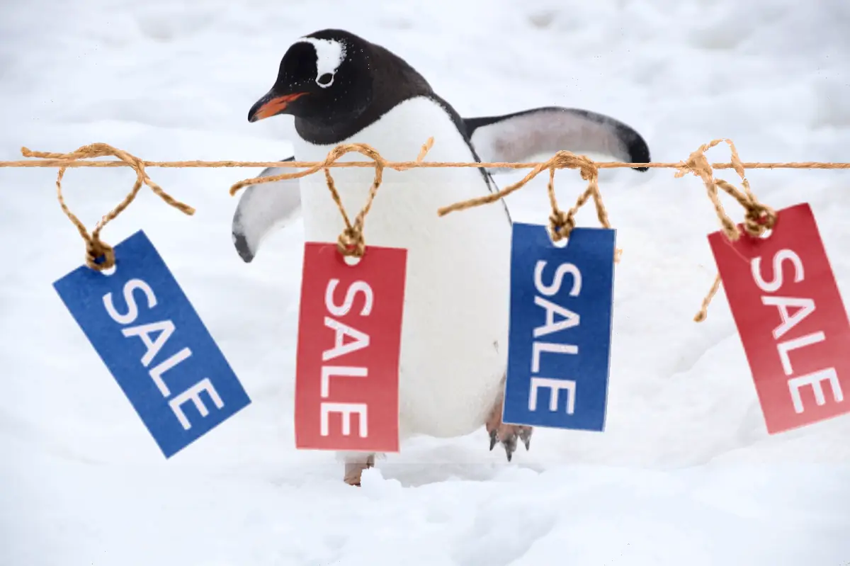 Cool Ice Box Special Offers