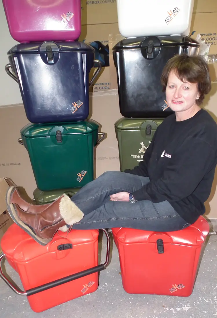 L&rsquo;Histoire de Cool Ice Box Company